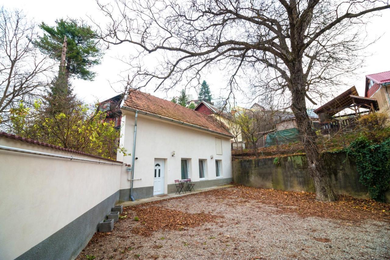 Crisan Residence - Vila Crisan Brassó Kültér fotó
